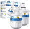 GOLDEN ICEPURE Kühlschrank Wasserfilter Kompatibel mit Samsung DA29-00003F, DA29-00003G, Aqua Pure Plus Hafin, DA29-00003B, DA29-00003A, DA97-06317A, RFC1100A,2 stück RWF1100A (rechnung vorhanden)