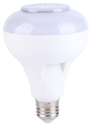 Raguso Ampoule de Musique Intelligente LED E26/27 100-240V AC Multicolore avec télécommande à 24 Touches Changeante de Couleur Lampe pour la Maison