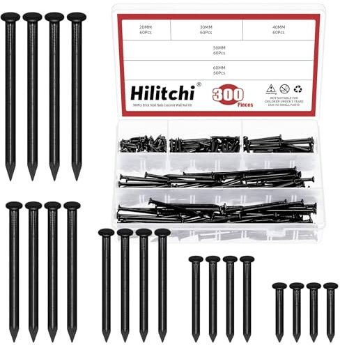 Hilitchi Kit di 301 chiodi assortiti in acciaio per mattoni in 5 misure, 2 cm, 3 cm, 4 cm, 5 cm, 6 cm, chiodi in cemento zincato, chiodi per cemento per cemento e cartongesso (nero)