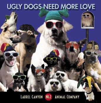 Ugly Dogs Need More Love