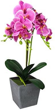 Steinmann Kunst Orchidee im rechteckigen Topf – Farbecht - Pflegeleicht – (Topf Grau - 50cm, Dunkelrosa)