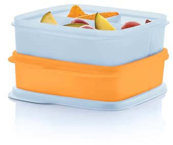 Tupperware Lunch-It 178376 Lunch-It Portion & Go Lunchbox, spülmaschinenfest, 2,3 Tassen / 550 ml, 2 Stück