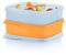 Tupperware Lunch-It 178376 Lunch-It Portion & Go Lunchbox, spülmaschinenfest, 2,3 Tassen / 550 ml, 2 Stück