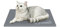 pecute Kühlmatte Hunde Katzen(30 * 40cm), Kuhlmatte für Hund und Katze mit Ungiftiges Gel,Selbstkühlende Kissen, Kühl Hundedecke, Kaltgelpad für Katzen und Hunde, Grau,XS