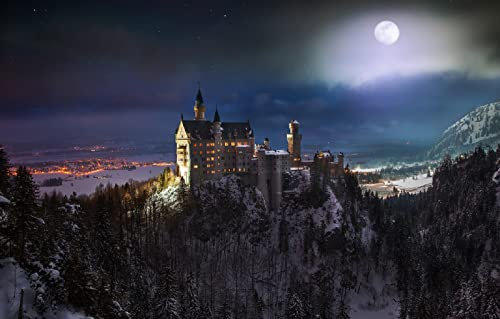 LHJOYSP Puzzel Jungen 3D Puzzle 1000 Teile City Moon Schloss Neuschwanstein im Südwesten Bayerns, Süddeutschland 75x50cm