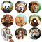 500 Stück Tier Aufkleber Belohnungsaufkleber für Kinder, 2,5 cm Runde Dschungel Wildtier Aufkleber, Zootiere Belohnungen Aufkleber Animal Sticker Rolle, Tierform Belohnungssticker Lehrer belohnung