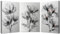 WQBQKKX Schwarz, grau 3er Set Bilder Aquarelle Aquarell Bild Leinwand Xxl, Abstrakte Blumen Wandbilder Wohnzimmer KüChe Esszimmer Badezimmer Wanddeko-30x45cmx3 Gerahmt