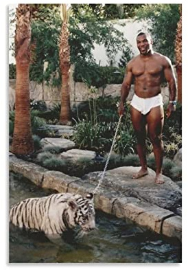 HHYWWD Leinwand Wandkunst Malerei Senza Cornice 40 * 60CM Mike Tyson Poster Canvas Wall Art Pictures for Bedroom Wall Art Gifts Decor