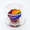 Box tondo con rosa multicolor stabilizzata Profumata,box da 9cm con Rosa eterna multicolore Vera Eterna | Idea Regalo Compleanno, anniversario, Natale, | Fatto in Italia (Multicolore 1400)