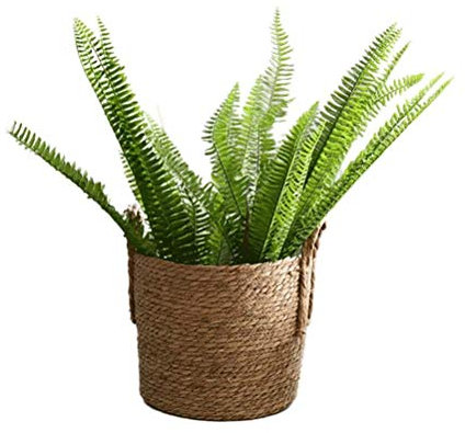 RXMORI Cestino per Piante in Alghe Marine, Coprivaso per Piante Cestino Portaoggetti in Tessuto Cestino per Piante in Alghe Marine con Manico Contenitore per Vasi da Fiori(Colore Assortito)