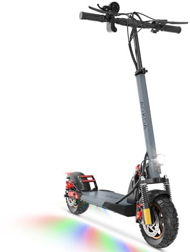 DailySports Trottinette lectrique Pliable pour Adultes, Moteur 800 W, Batterie 48 V 12,5 Ah, Autonomie 25-30 km, Vitesse Max 25 km/h, Pneu 25 Pouces, Amortisseur, Noir