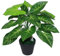Leaf Design UK Realistic Artificial Foliage Plant with Pot, Dark Taro, 45cm