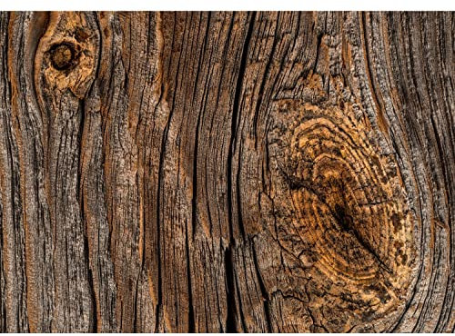 Runa Art Fototapete Holzoptik 352 x 250 cm Vlies Tapeten XXL Moderne Wandtapete Wohnzimmer Schlafzimmer Braun 9464011a