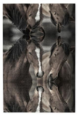 Two Horses Print Premium Wooden Jigsaw Puzzle - 1000 Pieces - Plastic Box Packaging