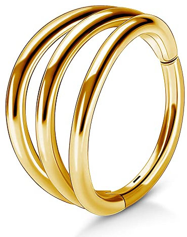 OUFER Body Piercing Helix Earrings 16G Cartilage Conch Piercing Helix Earring Hoop Hinged Segment Ring 316L Surgical Steel Septum Nose Ring Tragus Daith Earrings Piercing Jewellery