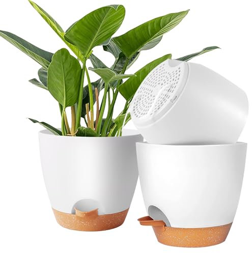 Accmuzzy 20cm Plant Pots Indoor,3pcs Self Watering Plant Pots,House Indoor Plant Pot,Large Flower Orchid Pots Plant Pots with Holes,Plastic House Inside Plant Pot Planters with Saucer (White)