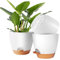 Accmuzzy 20cm Plant Pots Indoor,3pcs Self Watering Plant Pots,House Indoor Plant Pot,Large Flower Orchid Pots Plant Pots with Holes,Plastic House Inside Plant Pot Planters with Saucer (White)