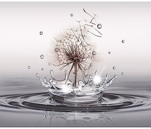 murando - Vlies Fototapete Pusteblumen 300x210cm Foto Tapete Wohnzimmer Vliestapete XXL Motivtapeten Bildtapete 3d Effekt Wand Dekoration - Blumen Natur Löwenzahn Wassertropfen b-C-0732-a-a