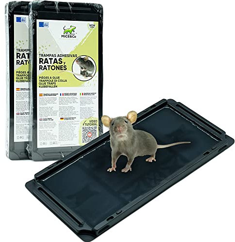Mice&Co Trampas Adhesivas con Pegamento para Ratas y Ratones - Cola Captura Roedores | Pack 4 Trampas