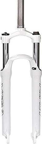 XYSQ Fourche Suspendue VTT 26 27.5 29 Réglage du Rebond Tube Droit 28,6mm Voyage 100mm Frein Disque Choc Ultra-léger XC (Color : White, Size : 29inch)
