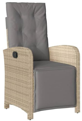 vidaXL Chaise Inclinable de Jardin et Repose-Pied, Sièges avec Coussin, Fauteuils avec Dossier Terrasse, Moderne, Mélange Beige Résine Tressée