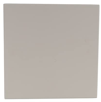 Koawensa Pierre à pizza pour la cuisson, le grill, les outils de pizza pour four et barbecue, plaque à pain, plaque de cuisson de cuisine, 305 x 305 x 10 mm