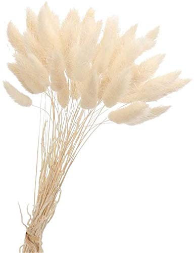 Yeehliny Pflanzenstiele, ländlicher Stil, Hasenschwanz Trockenblumen Deko ewig haltbar Pampasgras & getrocknete Blumen Pampasgras Trockenblumenstrauß Vase Deko,50 Stück (Weiß)