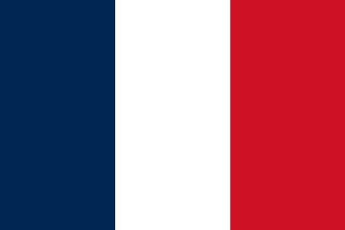 Premium Fahnen Flagge - 90 x 150 cm / 150 cm 90 cm - aus Polyester mit goldenen Ösen - Langlebig und Wetterfest (Frankreich)