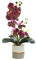 Générique Orchidée Réaliste en Jaune Artificiel dans Le Pot Phalaenopsis à Huit Têtes en Silicone avec Une Fleur de Papillon de Simulation Blanche à Huit Têtes(Rouge)