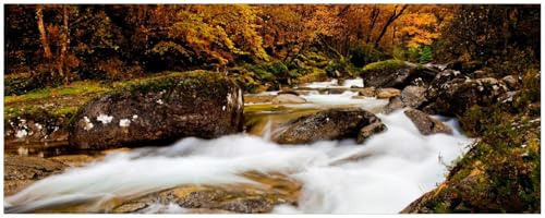 Wallario Küchenrückwand selbstklebend 115 x 50 cm, Motiv: Fließender Bach im Herbstwald | Spritzschutz abwischbar & pflegeleicht