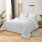 Edredón Relleno Nórdico 4 Estaciones Cama 150 (240x220) - 2 en 1 (150 gr/m2 + 350 gr/m2) - Edredón para Invierno, Verano, Primavera y Otoño, Nórdico de Fibra Suave, Transpirable y Antiácaros