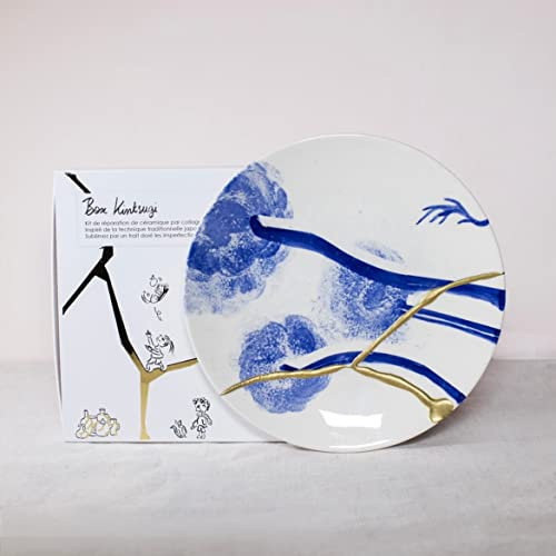 Le Ceramicafé Geneviève Box Kintsugi - Cofanetto fai da te per riparazione di ceramiche rotte (argento)