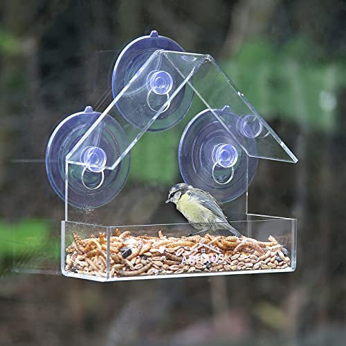 Medium Glass Window Bird Feeder Station Seed Mealworm Suction Cups Clear Perspex