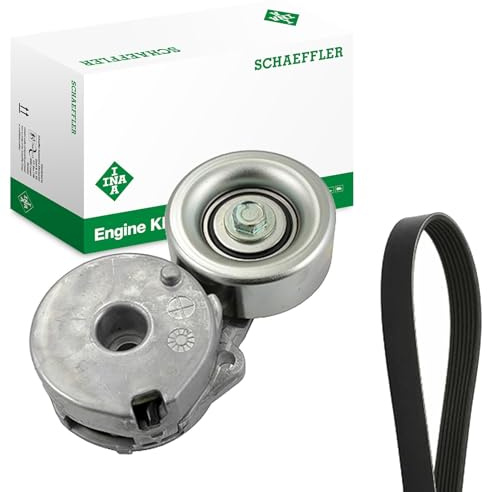 INA 529 0225 10 Keilrippenriemensatz 1218mm 6-Rippenanzahl Kompatibel mit RENAULT Clio 3 Schrägheck BR0/1, CR0/1 117202503R 117206170R 117204171R