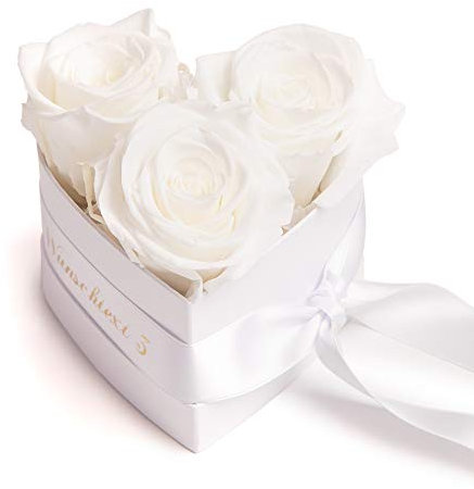ROSEMARIE SCHULZ Heidelberg Infinity Rosenbox Herz Widmung personalisiert - 3 weiße Rosen in Box 10x12cm haltbar 3 Jahre - persönliche Frauen Geschenke (Wunschtext, Weiß)