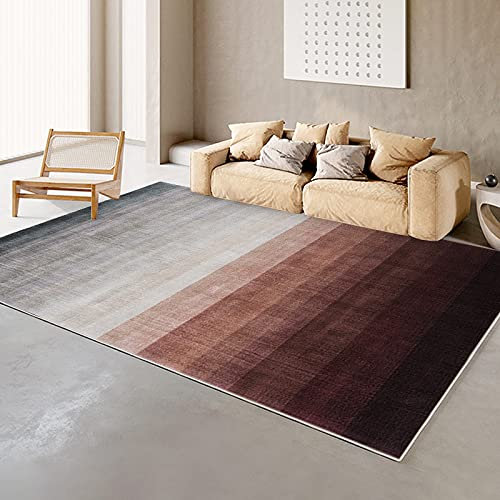 Alfombra de gran área para sala de estar, dormitorio, alfombra de felpa suave, nórdica, antideslizante, antiincrustante, lavable, alfombra para puerta de baño, cocina, alfombra pequeña, 80 x 200 cm