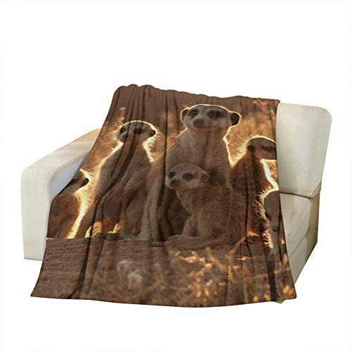 Hongfacai Flaushig Kuscheldecke 150x200cm Personalisierte Decke Nettes Erdmännchen Super Weiche Flanell Fleecedecke Wohndecken für Erwachsene und Kinder als TV-Decken Sofadecke Wohndecke Couchdecke