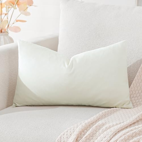 Artscope Samt Kissenbezug Kissenhülle Dekorative Dekokissen Sofakissen Lendenkissen Wurfkissenbezug Sofa Schlafzimmer 30x50cm Cremeweiß
