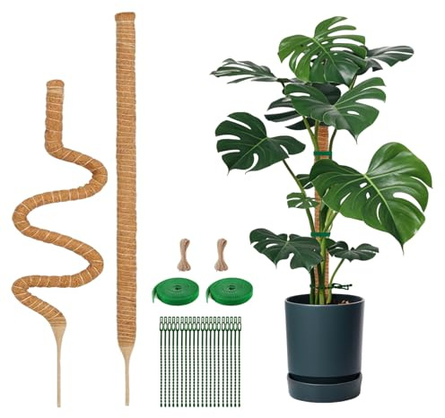 2Pcs 1.2M Schwerer Kokos-Moosstab, Rankhilfe für Monstera & Philodendron | Biegbare Kokos-Rankhilfe, 15cm Einstecktiefe, atmungsaktiv, schimmelresistent, 7mm Flex-Alu-Kern, pH-neutral