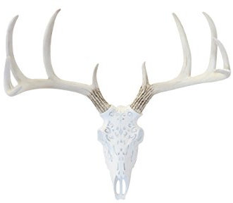 Near and Deer Faux Taxidermy Decorative Carved Deer Skull Wall Mount, White/Natural, DBS0100