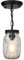 TRPYA Glass Mason Jar Pendant Lamp 1-Light Close to Ceiling Light Modern Kitchen Island Hanging Chandelier Fixture Dining Room Restaurant Living Room Cafe Indoor Art Decor