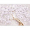 murando - Papier peint panoramique nature 350x256 cm - Revêtement mural décoration pour chambre salon - Design unique et moderne - Beige marron violet - Fleurs arbres plantes nature b-C-0969-a-d