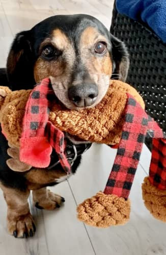 Spencer's Bark Book (Spencer's Adventures)