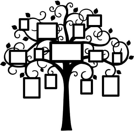 SUPERDANT Family Tree Wall Decor Family Tree Photo Frames Wall Stickers Home Decor Wall Art Sticker DIY Art PVC Wall Deca Decals Wall Sticker Vinyl Transfer