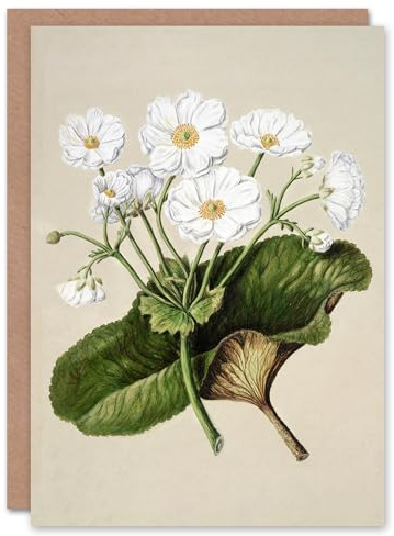 Artery8 Sarah Featon Art Card New Zealand Mountain Lily Flowers