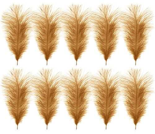 WedDecor 35cm Gold Ostrich Feathers for Wedding Decoration – Real Feather Supplies for Crafts, DIY Headdresses, Dressmaking, Table Centrepieces & Fashion Accessories, 10pcs | Craft Feathers for Wedding Centerpieces, Home, Decorating Costumes, Embellishment, Art & Craft, Parties