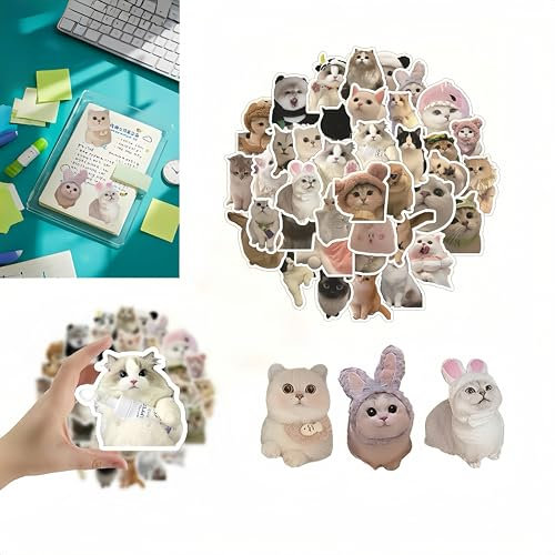 Katzen Aufkleber Kinder 60 Stück - Süße Vinyl-Sticker (5x5cm) - Wasserfest & Wiederverwendbar - Für Trinkflaschen, Schulhefte & Laptops - Rückstandsfrei - Ideal für Mädchen & Jungen ab 3 Jahren