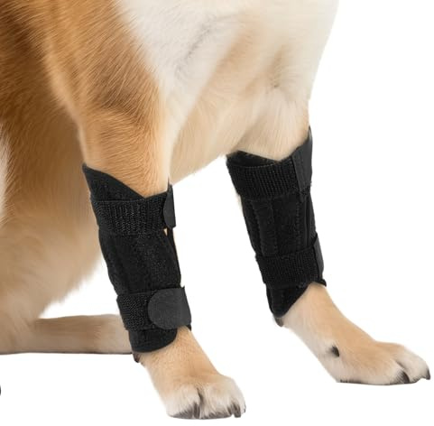 CIATBYYJ Black Dog Leg Sleeve, Pair of Front Leg Brace Protects Wounds Stop Licking, Dogs Braces for Back Legs Support, Dog Splint Front Legs Prevents Injuries and Sprains - L Size