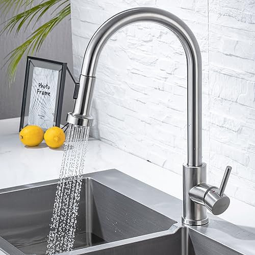 ONECE Küchenarmatur ausziehbar mit 2 Strahlarten, Wasserhahn Küche Mischbatterie mit 360° drehbar, Einhebel Spültischarmatur aus Edelstahl gebürstet, Matt
