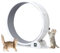 Katzenlaufrad, Laufrad Katze mit Zeitschaltuhr und kratzfester Teppichbahn, Unterstützt Solarladung, 110 x 110 x 40 cm Katzenrad Geräuscharm, Fitness Gewichtsverlust Gerät, Haustierspielzeug